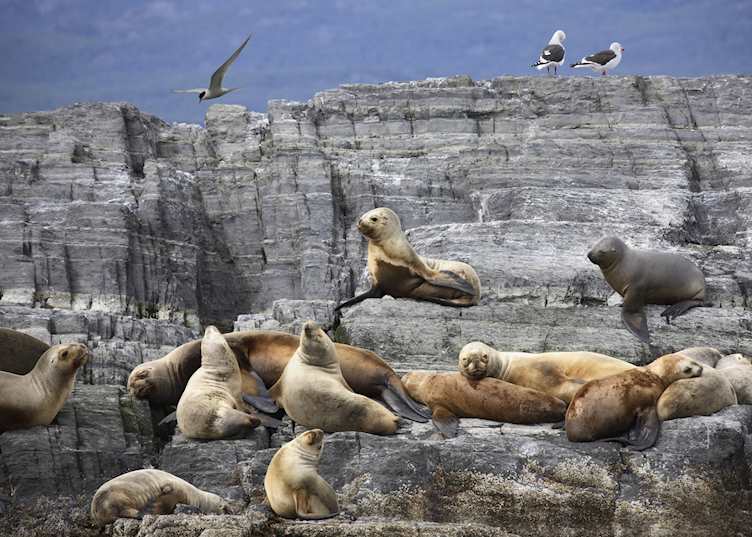 Ushuaia, Argentina