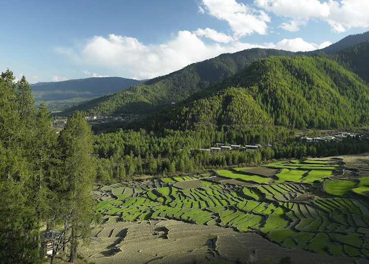 Terraced fields, Trashigang, Bhutan
