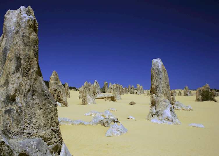The Pinnacles Desert, Nambung National Park