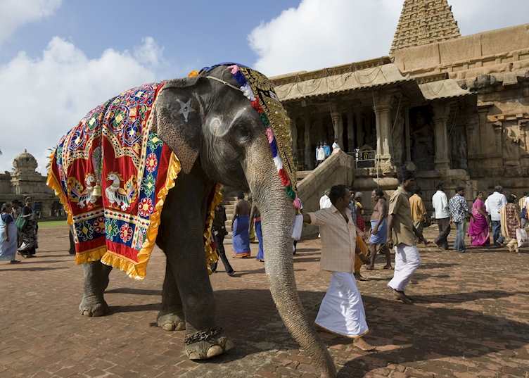 Festivities at Tanjore Temples, Tanjore, India