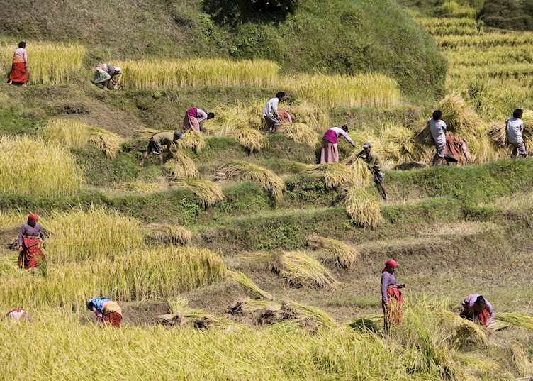 Village life, Kathmandu Valley, Nepal