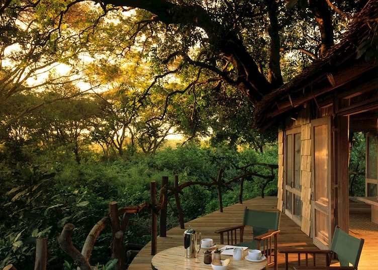 Lake Manyara Tree Lodge