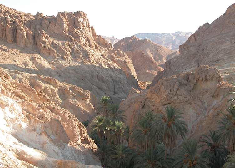 Chebika Oasis near Tamerza, Tunisia
