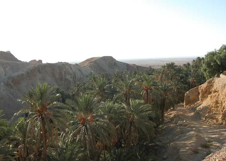 Chebika Oasis near Tamerza, Tunisia