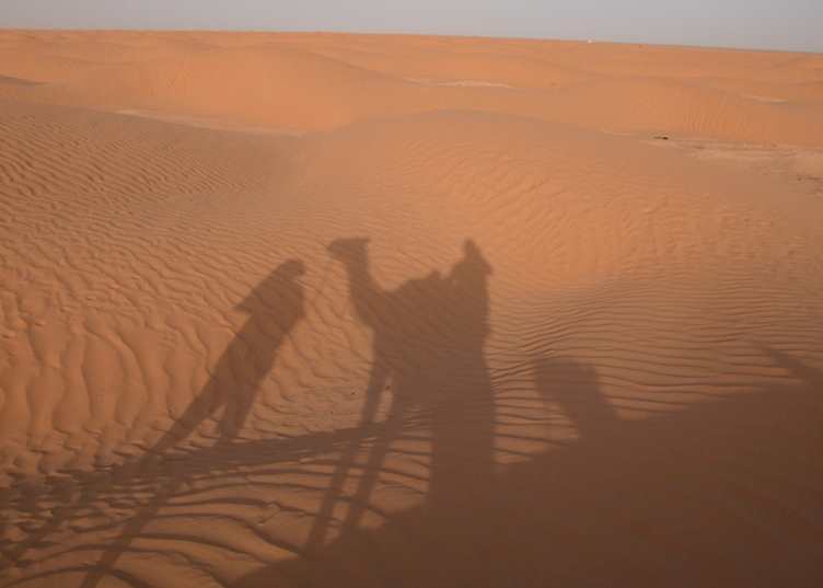Dunes at Ksar Ghilane