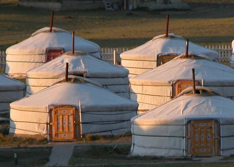 Khustai Nuruu National Park, Mongolia