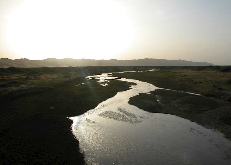 Khongoryn Els  (Khongor Sands), Mongolia