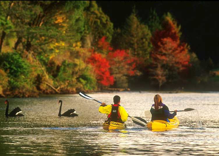 Kayaking on McLaren Falls Lake, near Tauranga