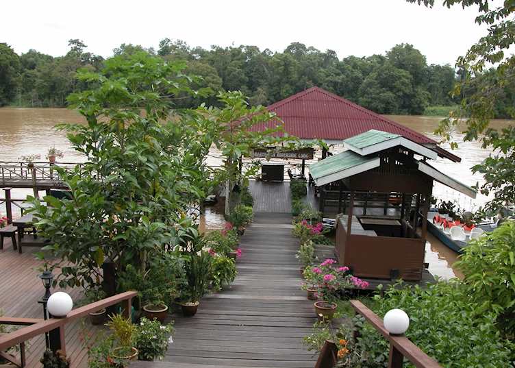 Kinabatangan Riverside Lodge, Kinabatangan River