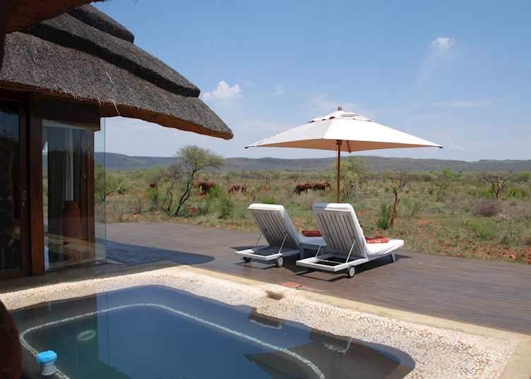 Private plunge pool, Madikwe Hills Private Game Lodge
