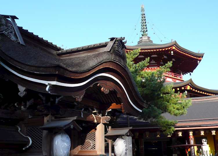 Temple and pagoda, Mount Koya
