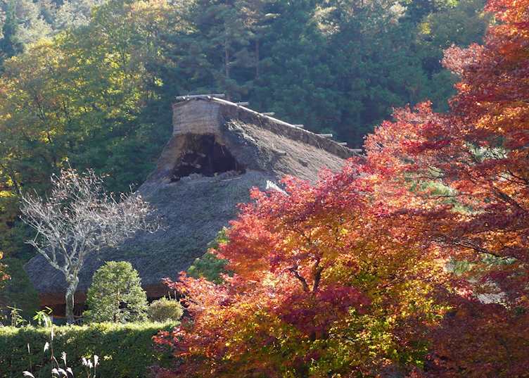 Thatched roof, Hida folk village