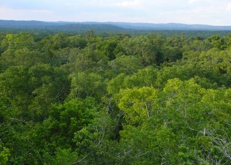 View from on top of the temples in Yaxha, Tikal area