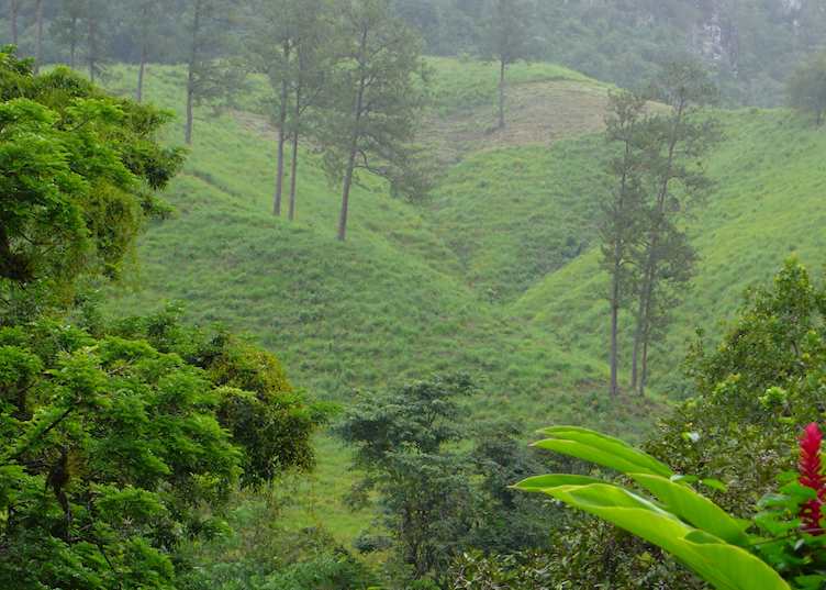 Scenery at Lanquin