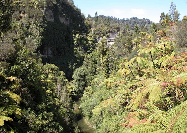 Whanganui National Park, New Zealand