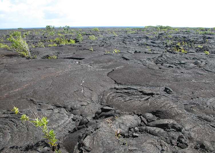 Ancient lava flows, Savai'i