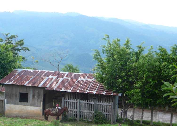 Finca El Cisne