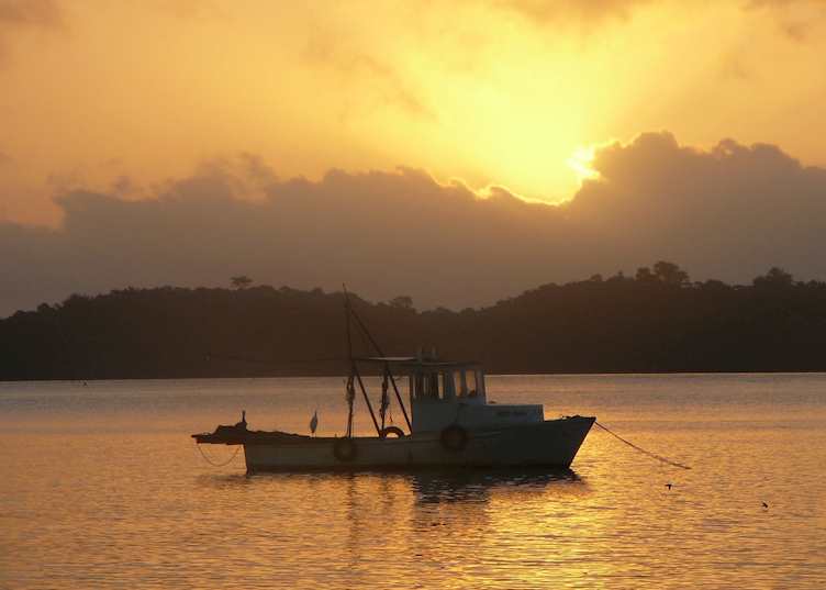 Sunrise from Livingston