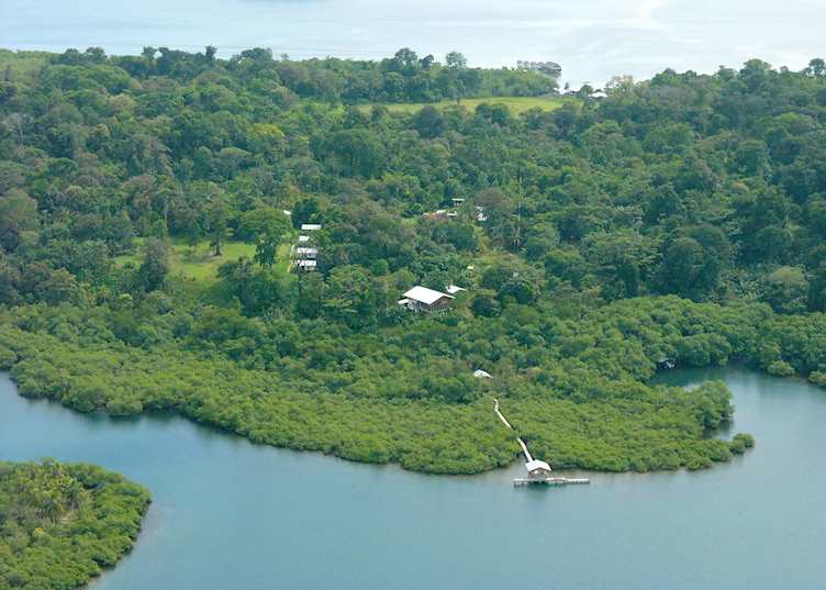 Tranquilo Bay, Panama