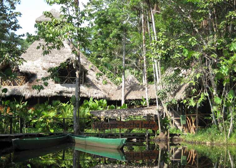 Sacha Lodge