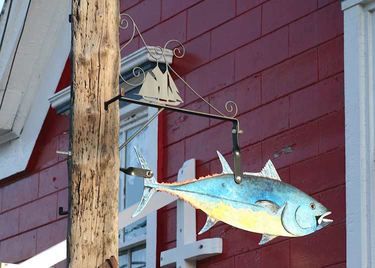 Arts and Crafts in Lunenburg
