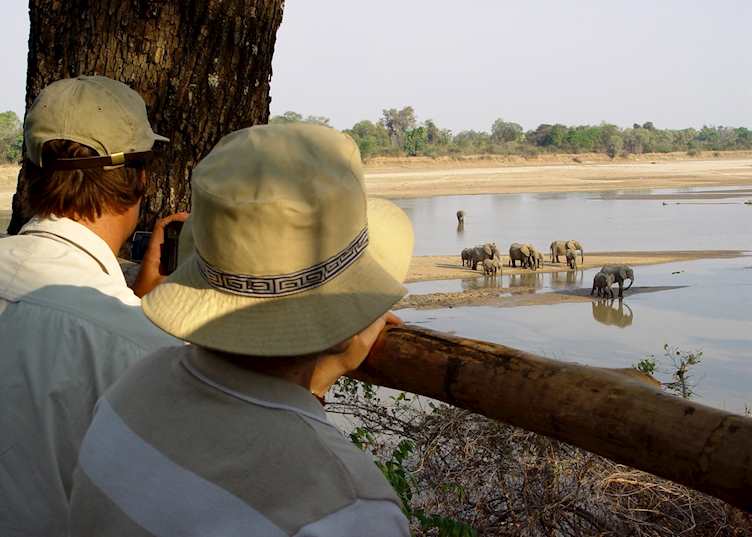 The Elephant Hide at Kaingo Camp