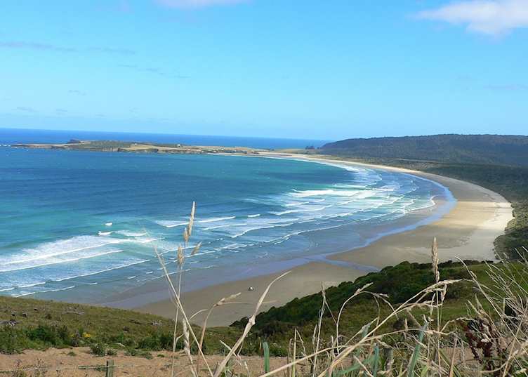 The Catlins coast, New Zealand
