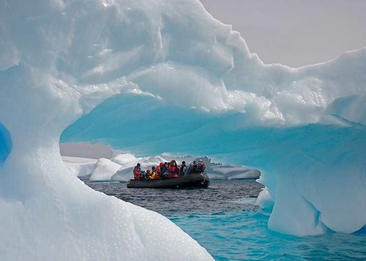 In an iceberg garden