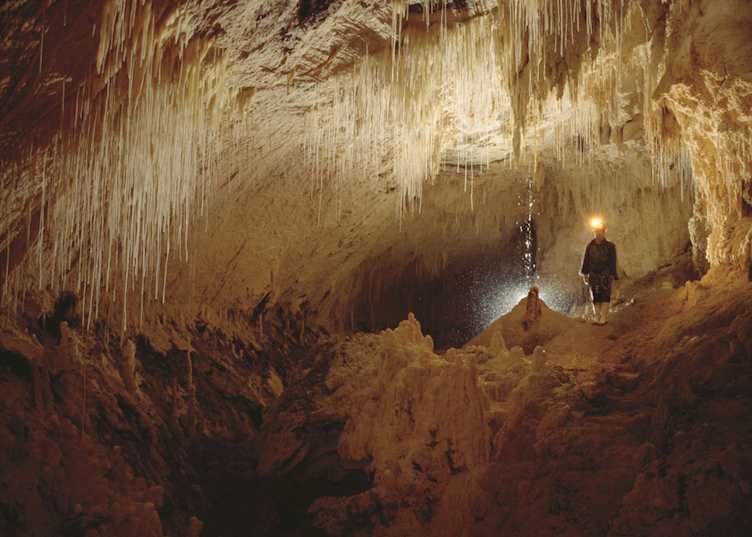Waitomo, New Zealand