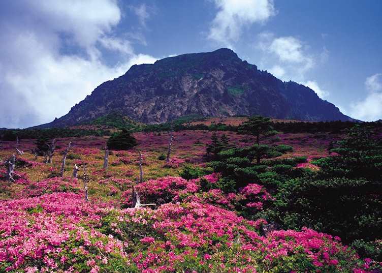 Mount Halla
