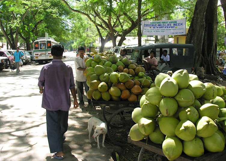 Coconut wallahs at Havelock Island, Andaman & Nicobar Islands, India