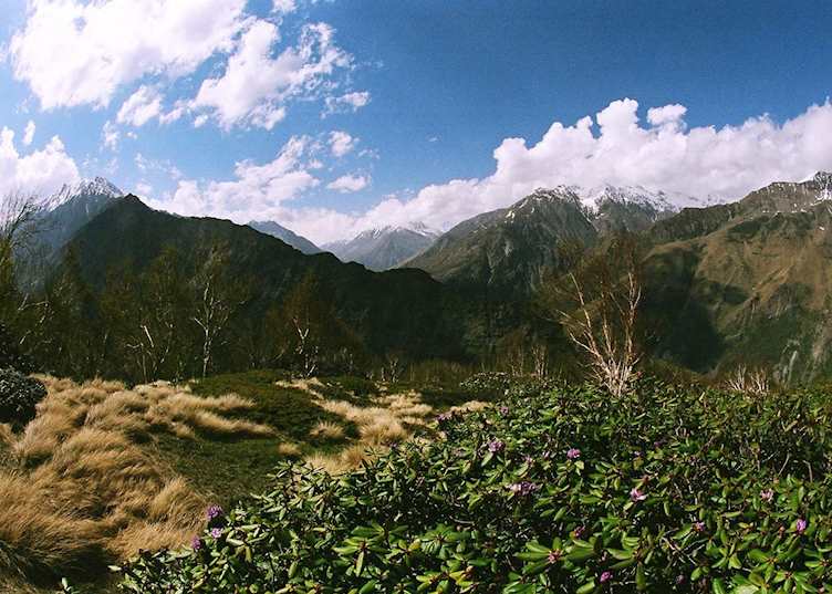 Mountain views near Leti, Almora