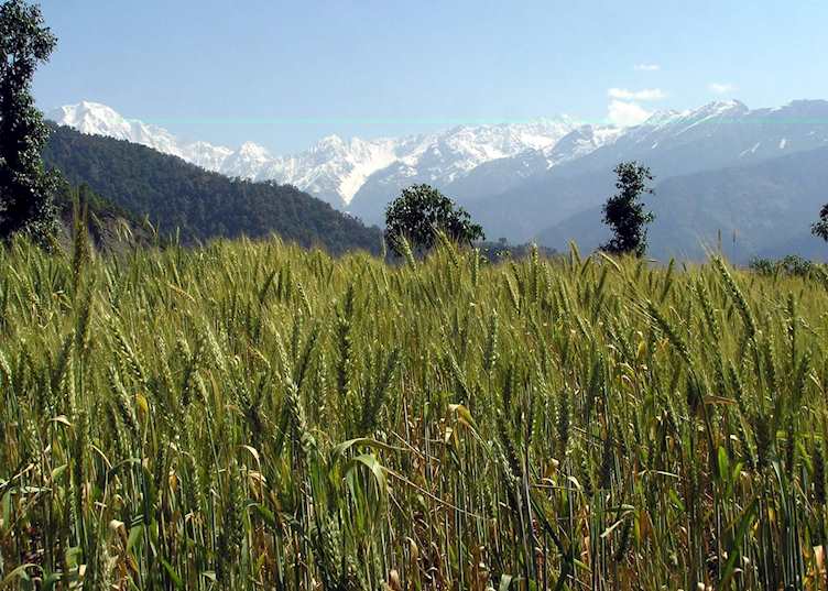 Mountain views near Leti, Almora
