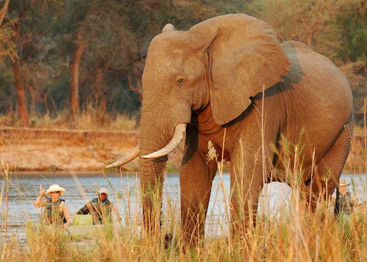 Canoeing from Old Mondoro Camp on the Zambezi River