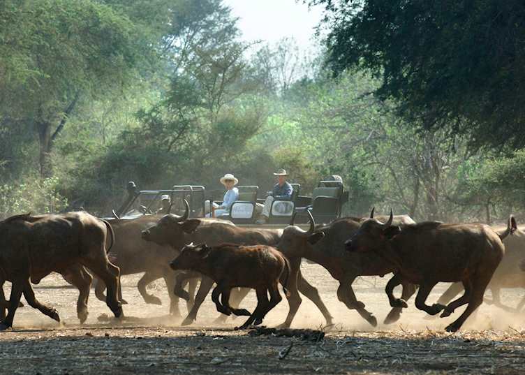 Game drive from Old Mondoro