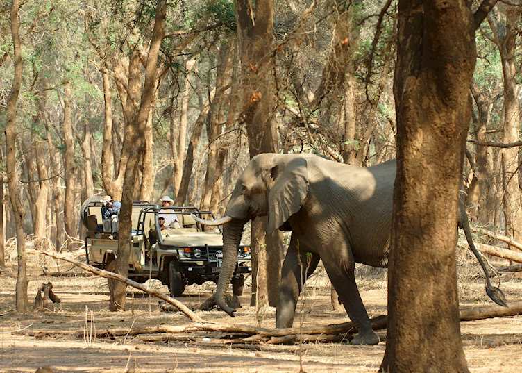 Game drive from Old Mondoro