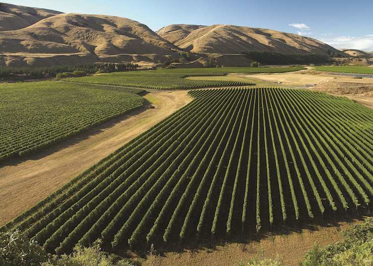 Wairarapa, New Zealand
