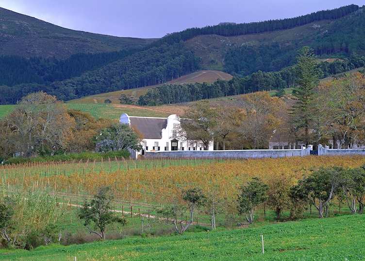 Groot Constantia wine farm, Constantia