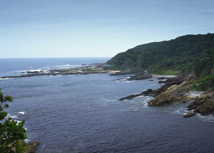 Storms River Mouth, Tsitsikamma Forest