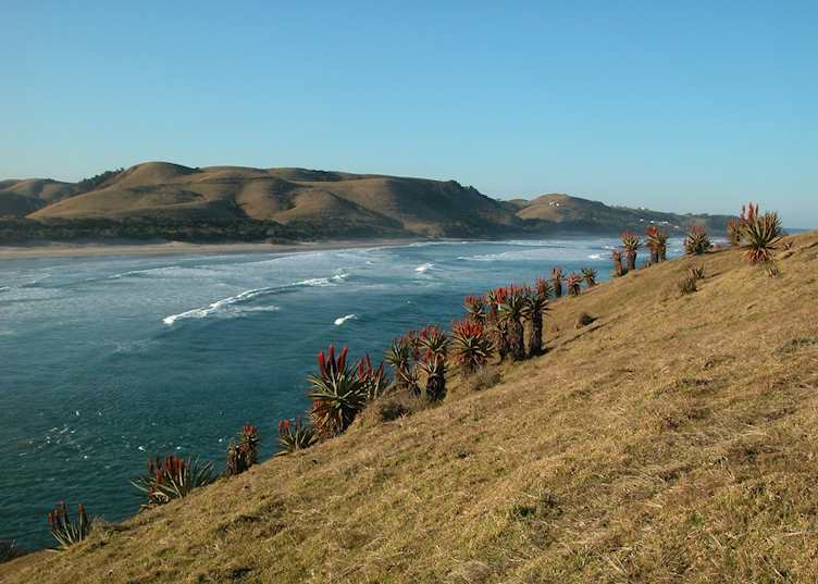 Mouth of the Umzimvubu River, Port St Johns