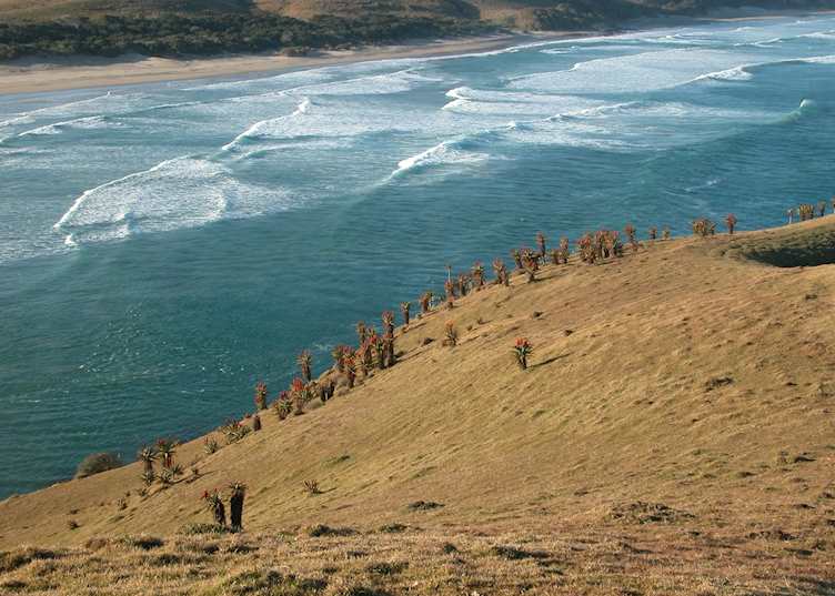 Mouth of the Umzimvubu River, Port St Johns