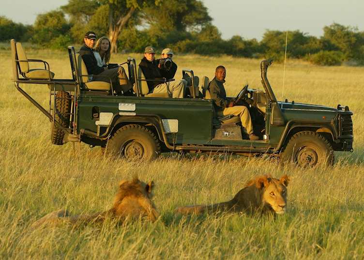 Game viewing on the Duba Plains