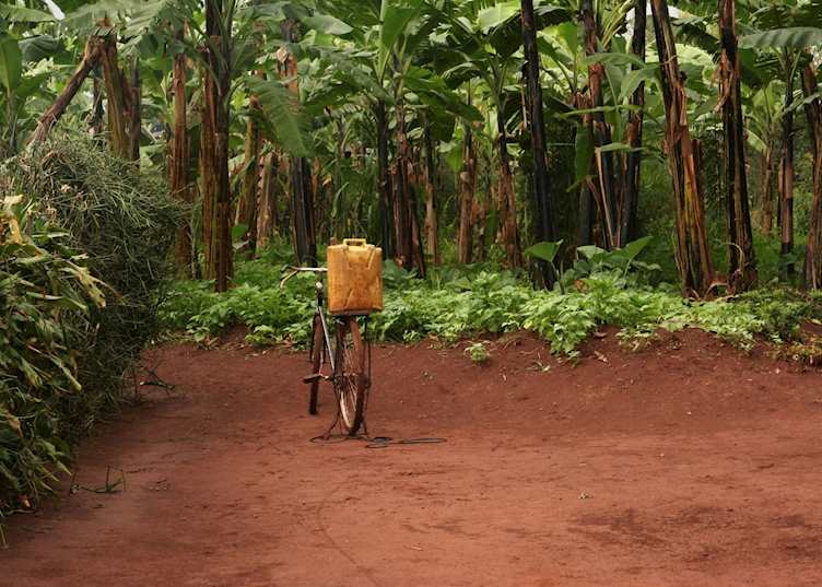 Rwandan road