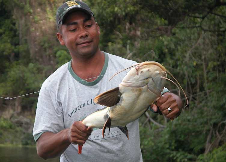 Piranah fishing excursion (prize catch - catfish), Amazon Clipper Premium, Amazon, Brazil