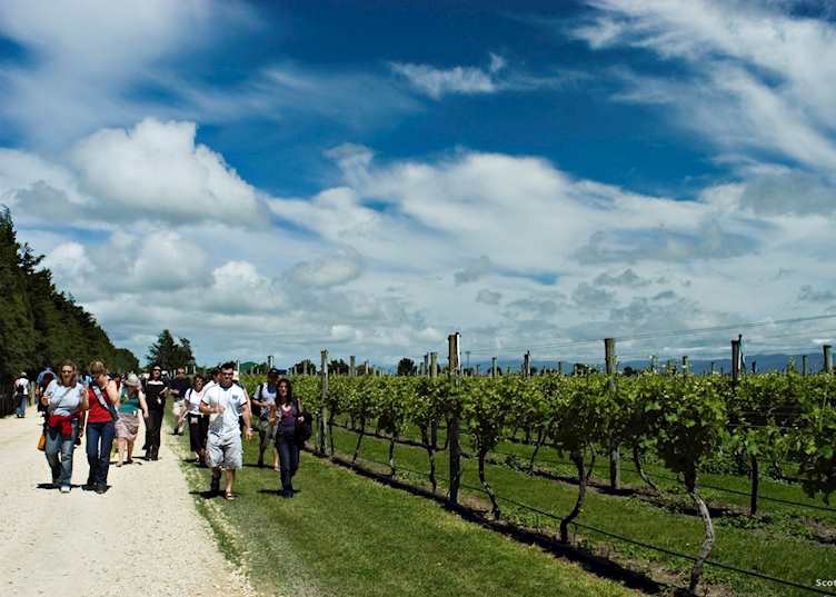 Martinborough, New Zealand