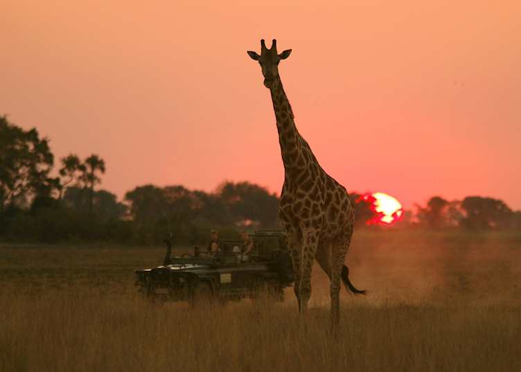 Drive at sunset in the Jao Concession