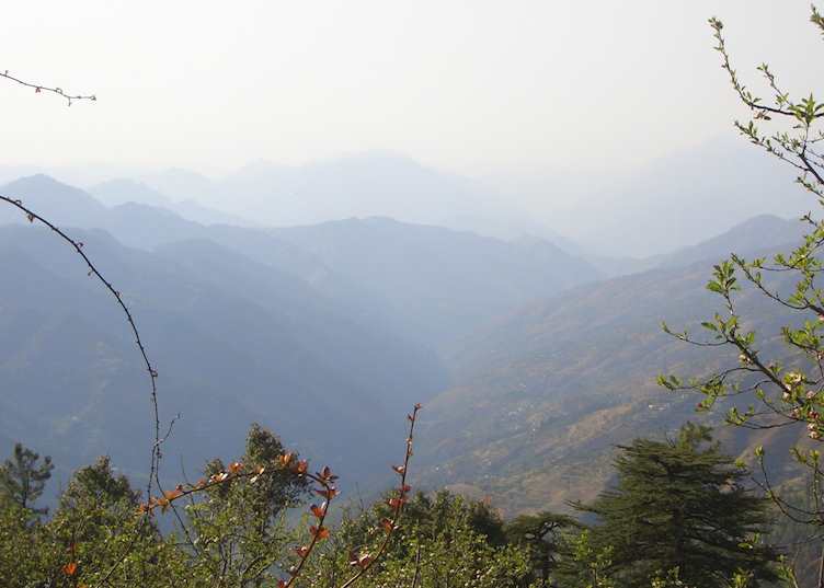 Views from around Wildflower hall, Shimla