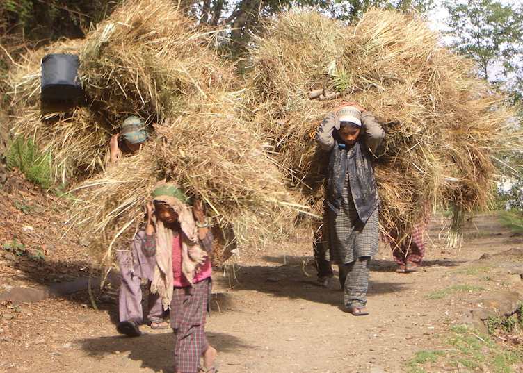 Local farming family on the Leti path