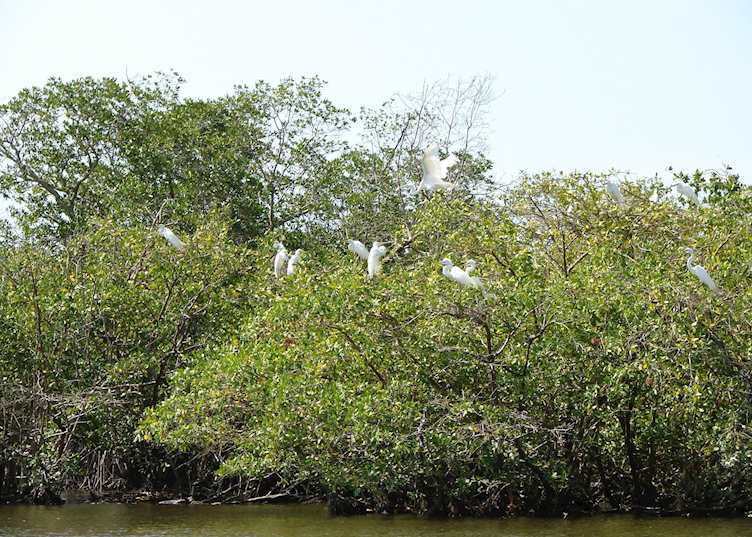 Juan Venado Island, Nicaragua
