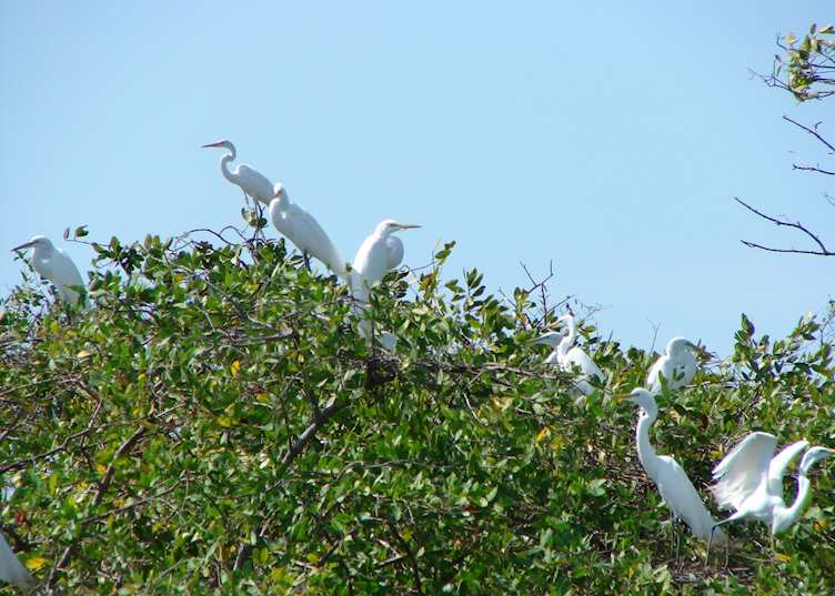 Juan Venado Island, Nicaragua
